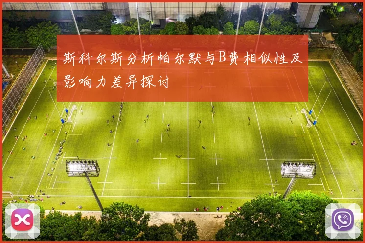 斯科尔斯分析帕尔默与B费相似性及影响力差异探讨