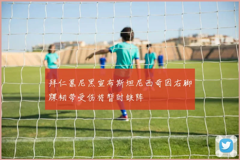 拜仁慕尼黑宣布斯坦尼西奇因右脚踝韧带受伤将暂时缺阵