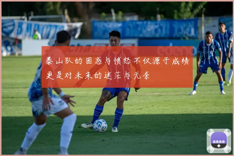 泰山队的困惑与愤怒不仅源于成绩更是对未来的迷茫与无奈
